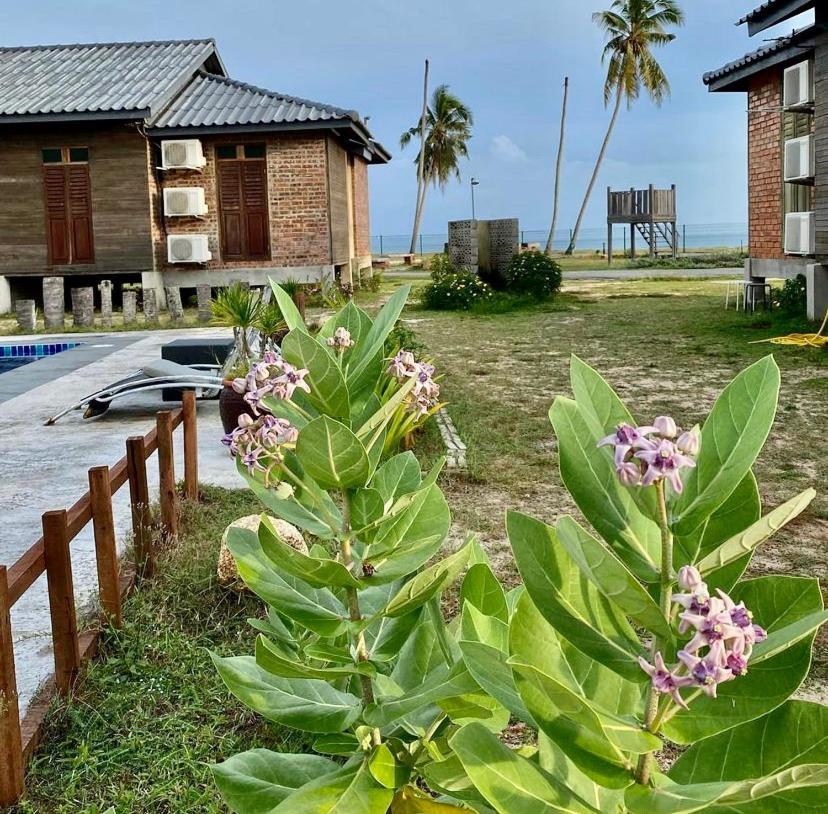 The Skepeng Apartment Kampung Penarik Exterior photo